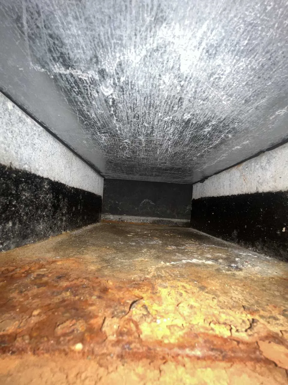 Rusted clogged drain pan