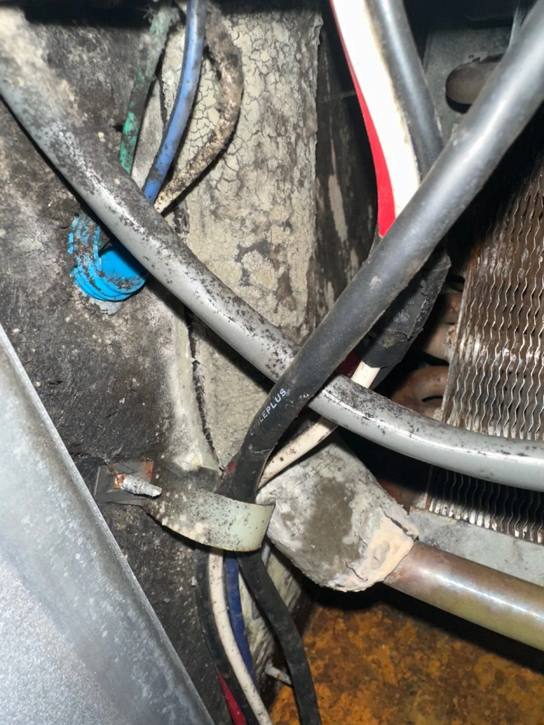 Mold growth in fan coil