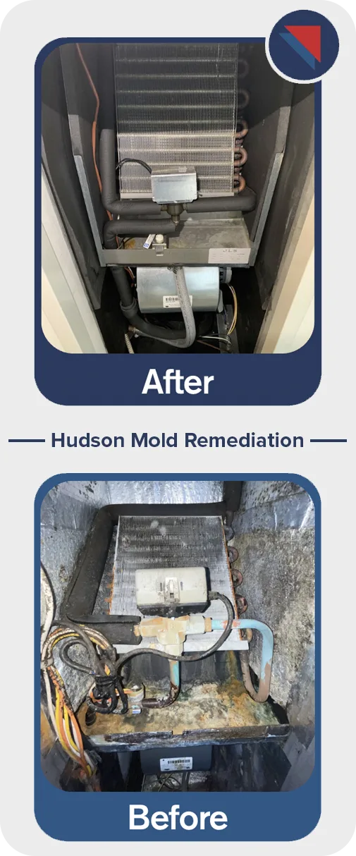 Before and after HVAC mold remediation Toronto